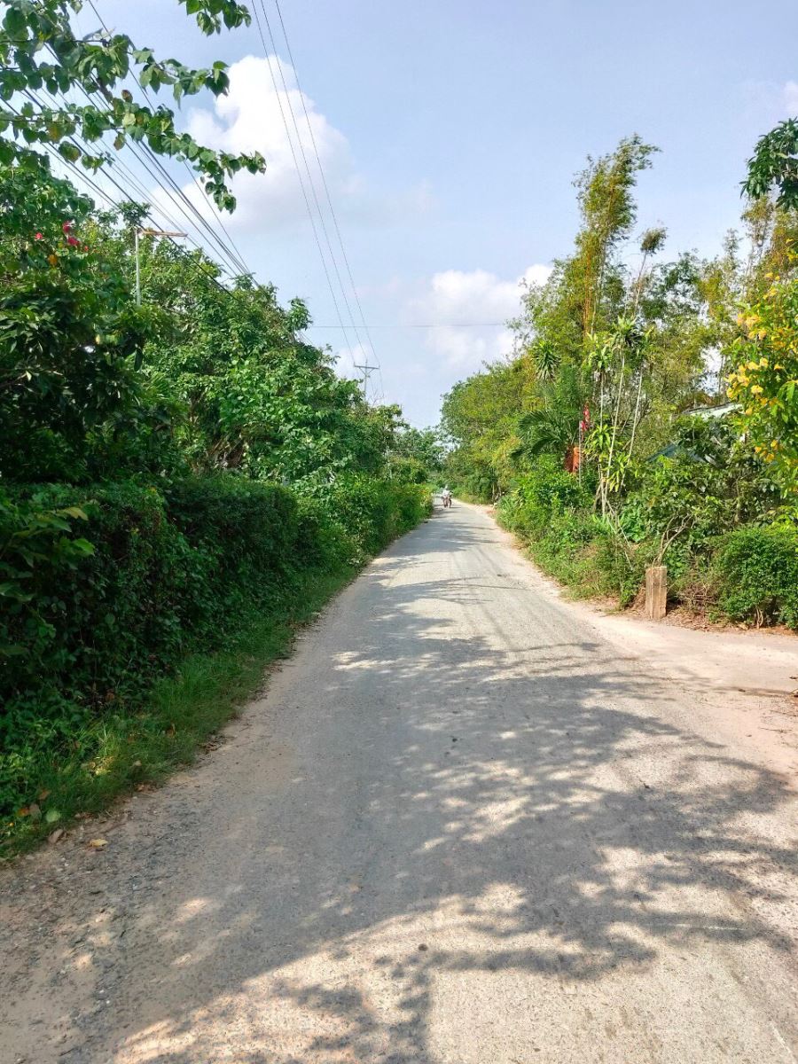 Bán đất đường Ao Vuông xã Phú Long, huyện Bình Đại tỉnh Bến Tre