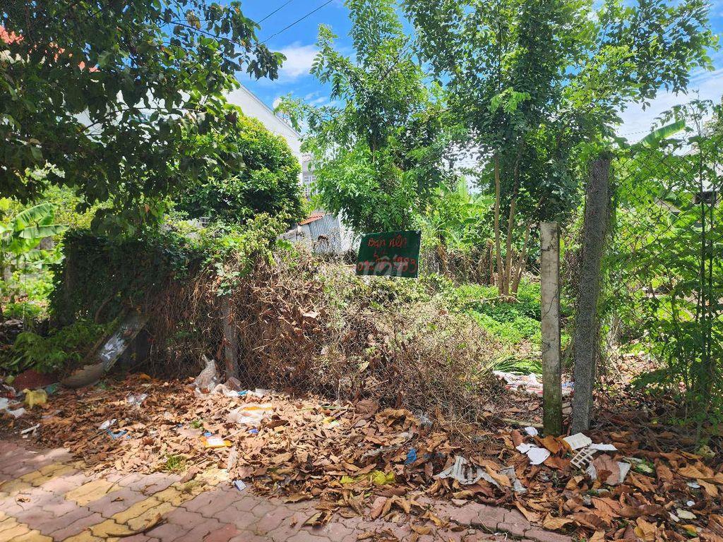 Bán đất Đường Nguyễn Văn Lâu, Phường 8 tỉnh Vĩnh Long