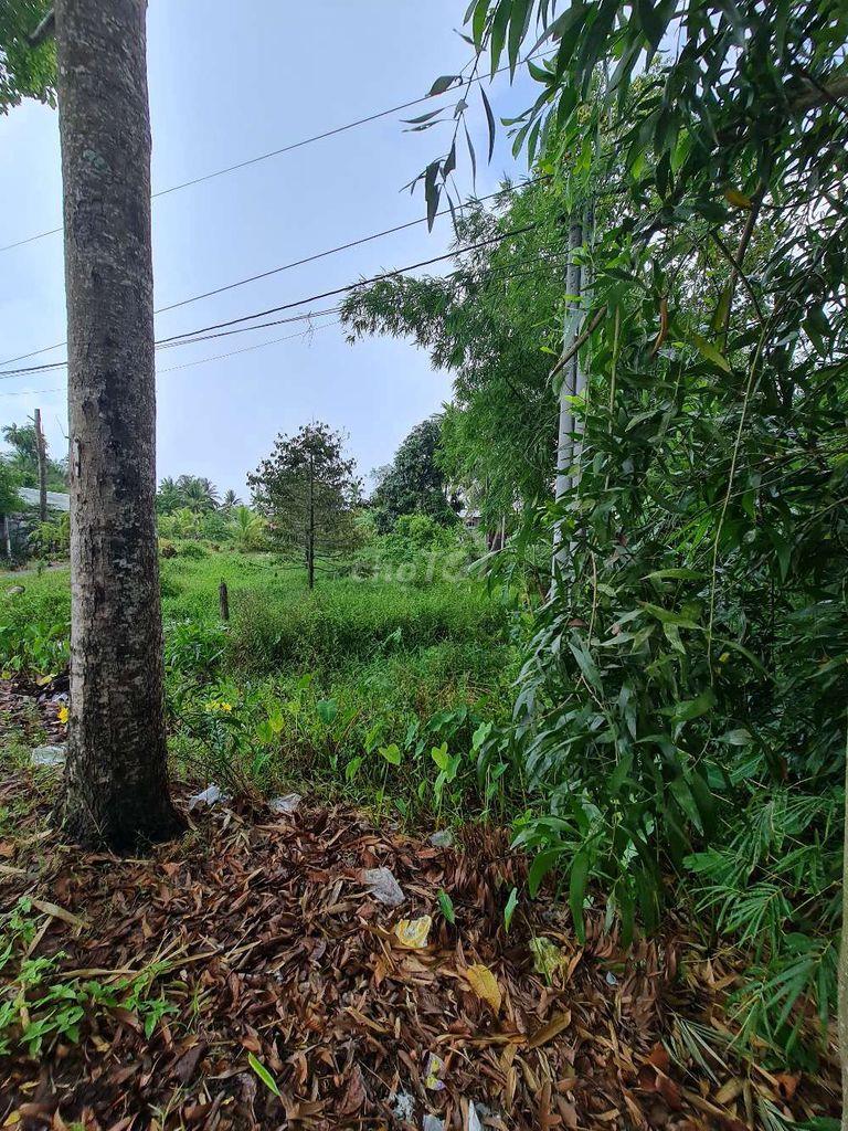 Bán đất Đường Nguyễn Việt Dũng, Xã Tân Hòa, Huyện Châu Thành A, tỉnh Hậu Giang