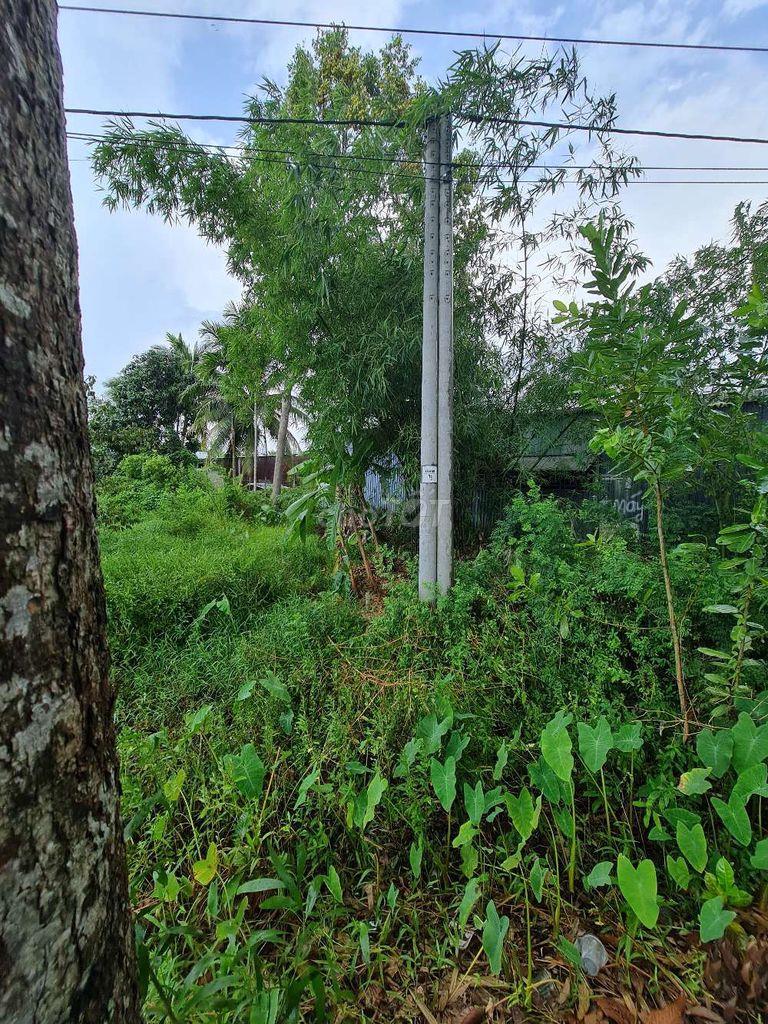Bán đất Đường Nguyễn Việt Dũng, Xã Tân Hòa tỉnh Hậu Giang