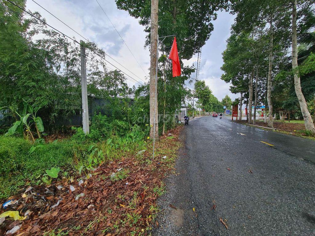 Bán đất Đường Nguyễn Việt Dũng, Xã Tân Hòa tỉnh Hậu Giang