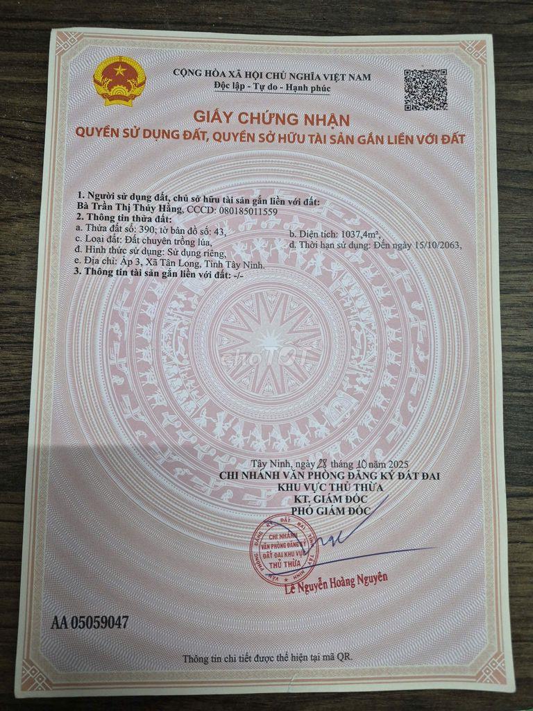 Bán đất Đường Quốc lộ N2, Xã Long Thạnh tỉnh Long An