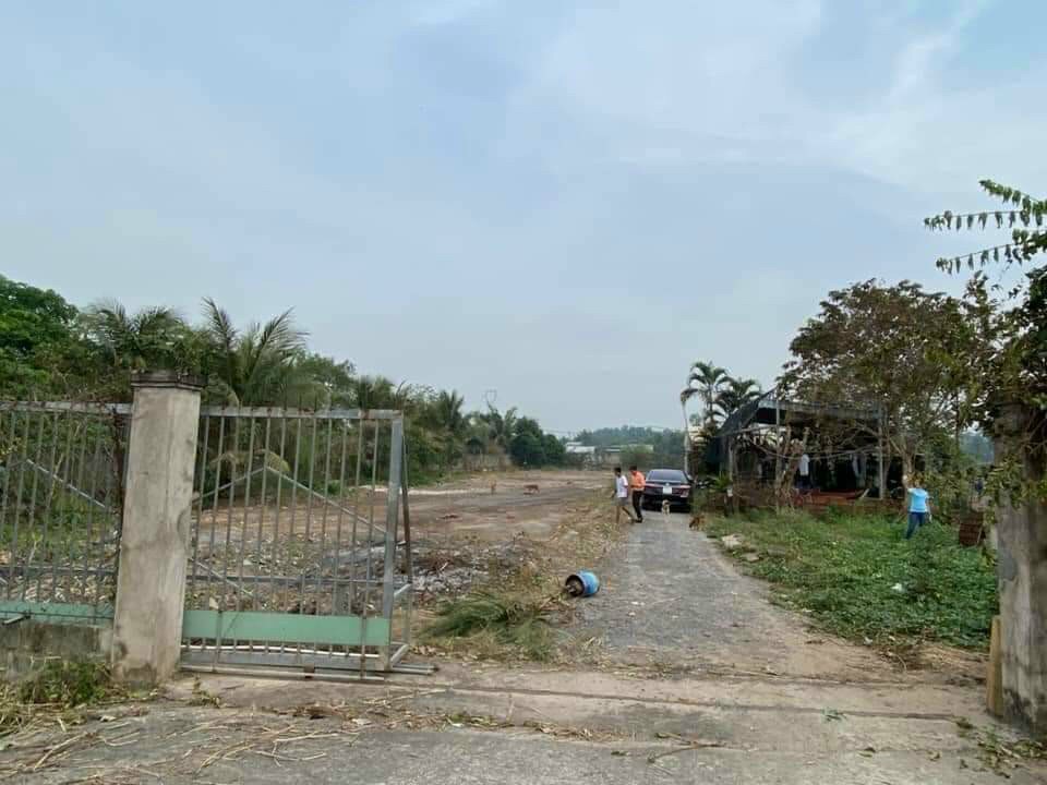 Bán đất đường Tân Long huyện Bình Chánh cách Chợ Đệm 1,2km