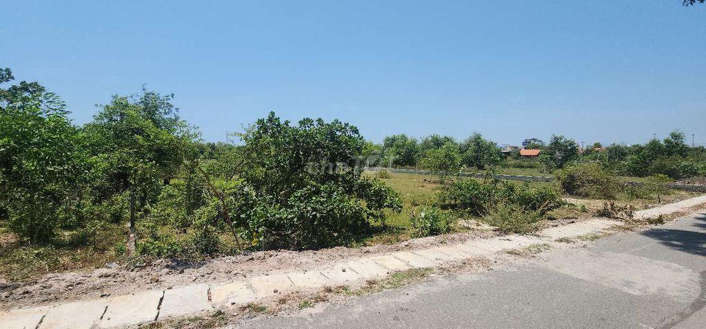 Bán đất Đường Tỉnh 998, Xã Phước Thuận tỉnh Bà Rịa Vũng Tàu