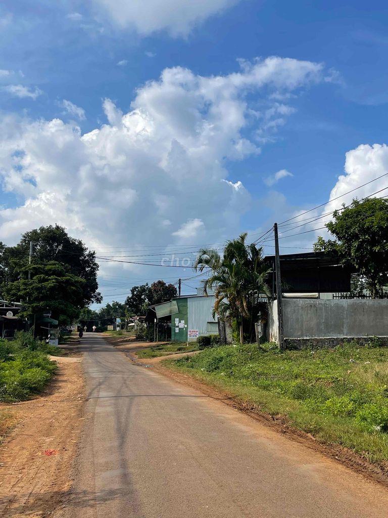 Bán đất Đường Trương Định, Xã An Phú Thành phố Pleiku tỉnh Gia Lai
