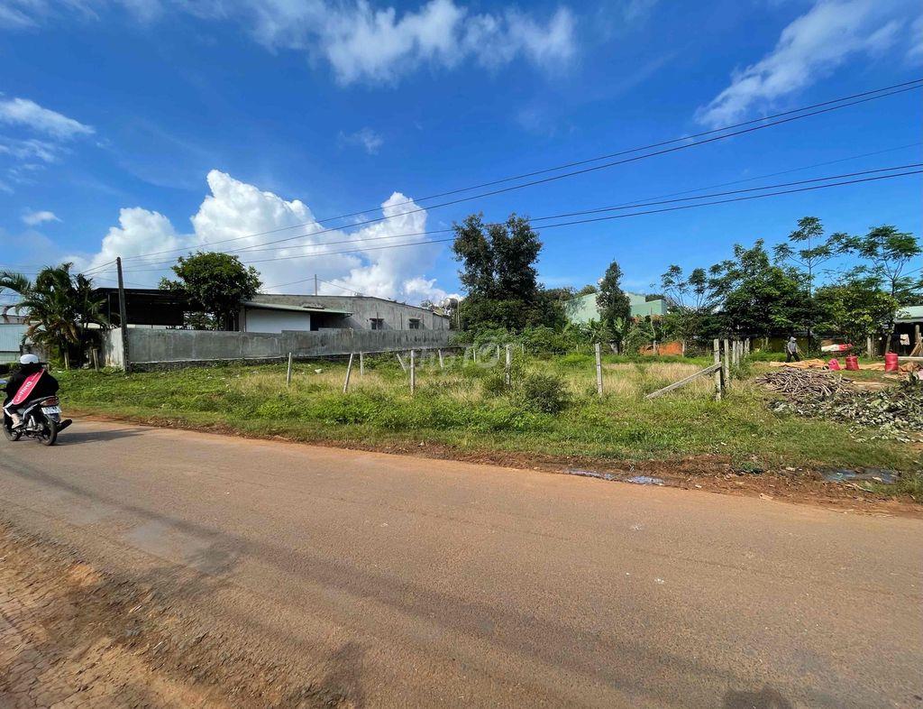 Bán đất Đường Trương Định, Xã An Phú Thành phố Pleiku tỉnh Gia Lai