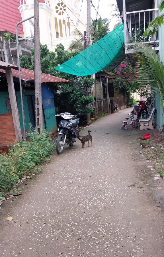 Bán đất xã Đồng Phú huyện Long Hồ tỉnh Vĩnh Long