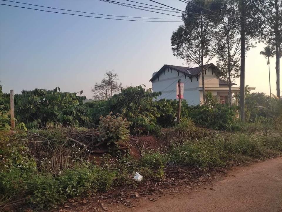 Bán đất xã Đức Mạnh, tỉnh Đắk Nông, 892m², Giá 720 triệu