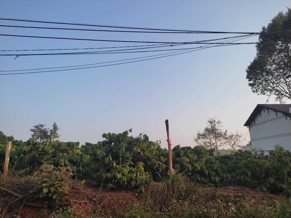 Bán đất xã Đức Mạnh, tỉnh Đắk Nông, 892m², Giá 720 triệu