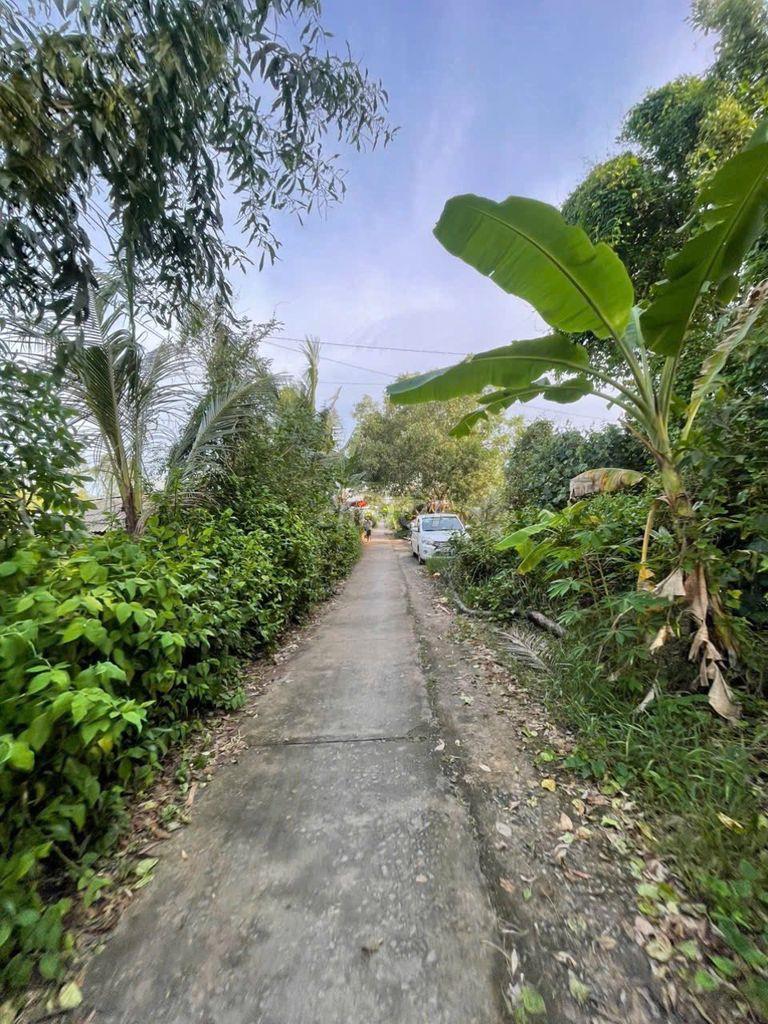 Bán đất xã Hồ Thị Kỷ, Huyện Thới Bình, tỉnh Cà Mau