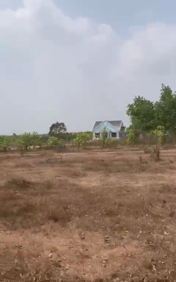 Bán đất xã Lộc Thạnh Huyện Lộc Ninh tỉnh Bình Phước