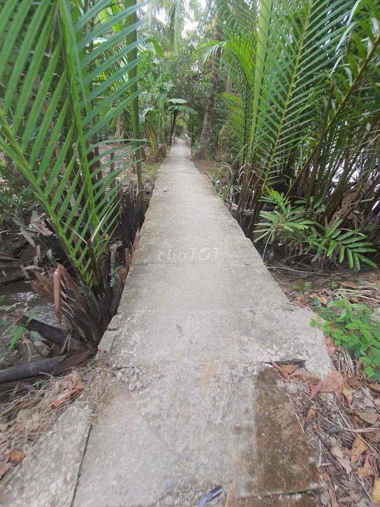 Bán đất xã Long Mỹ Huyện Giồng Trôm tỉnh Bến Tre