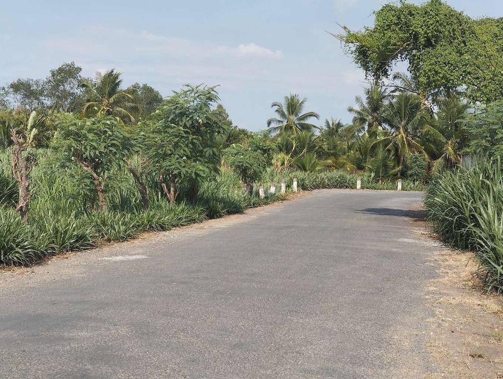 Bán đất xã Phú Túc, Huyện Châu Thành, tỉnh Bến Tre