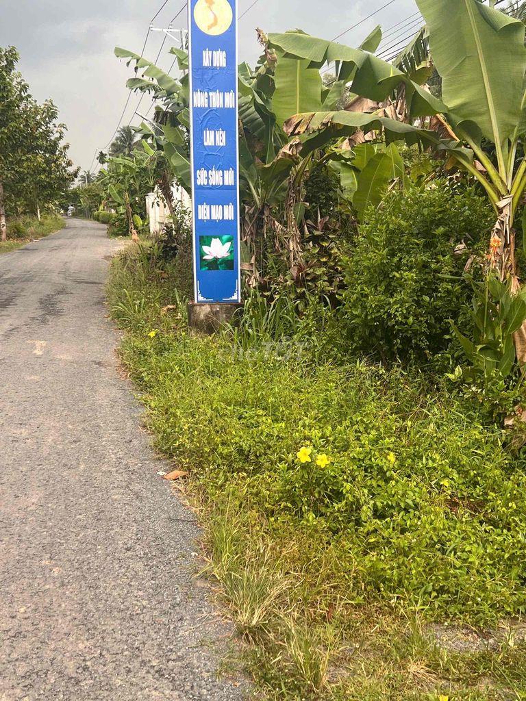 Bán đất xã Tân Hùng tỉnh Trà Vinh