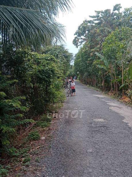 Bán đất xã Trung Hiệp tỉnh Vĩnh Long