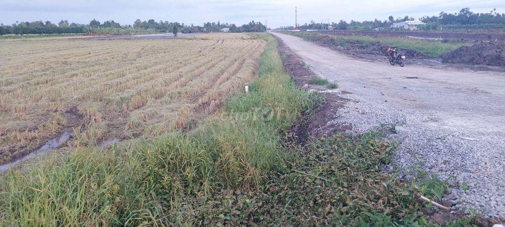 Bán đất xã Trường Long Tây Huyện Châu Thành A tỉnh Hậu Giang