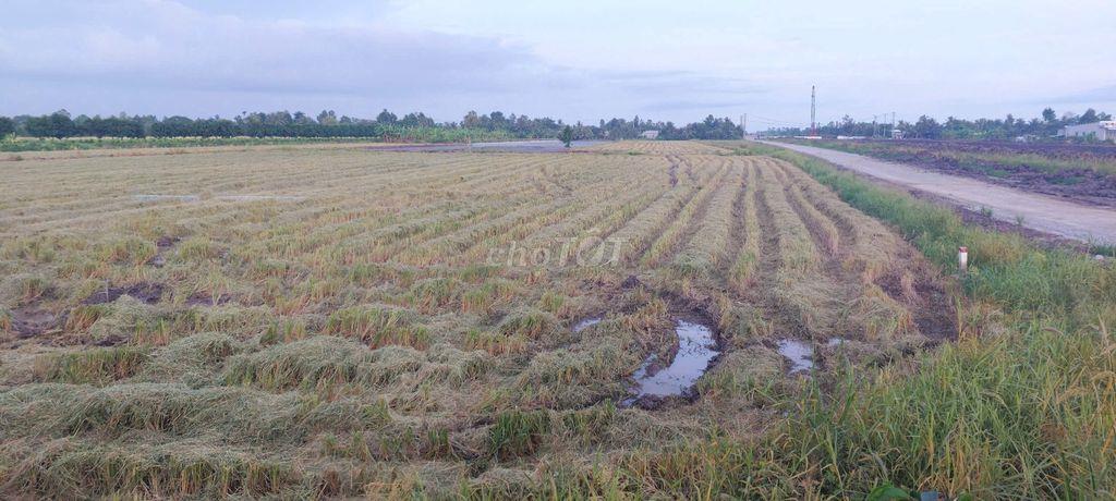 Bán đất xã Trường Long Tây Huyện Châu Thành A tỉnh Hậu Giang