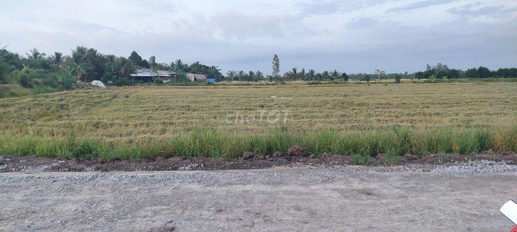 Bán đất xã Trường Long Tây Huyện Châu Thành A tỉnh Hậu Giang