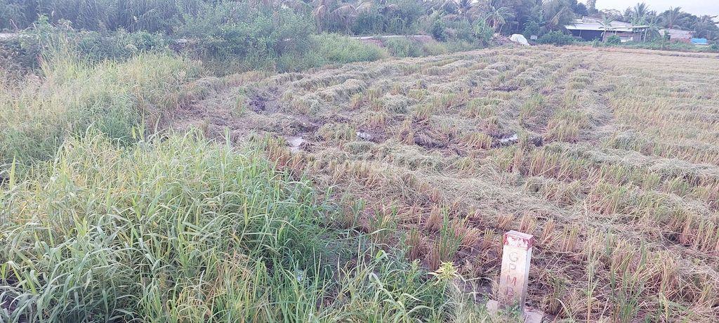 Bán đất xã Trường Long Tây Huyện Châu Thành A tỉnh Hậu Giang